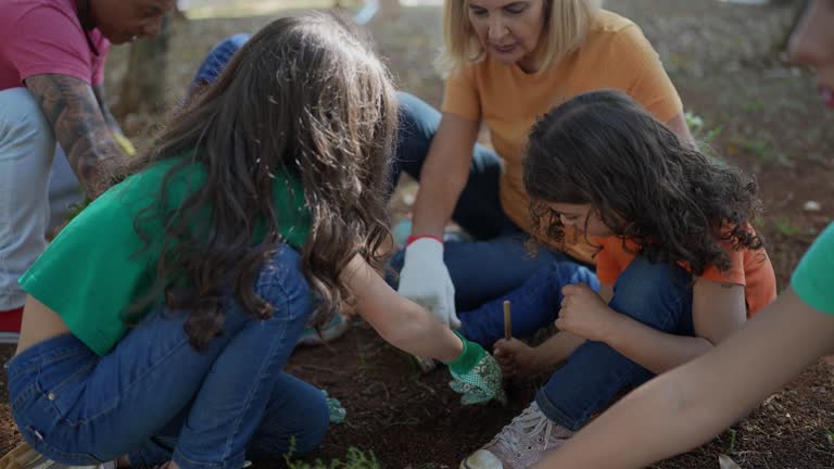 How Our Tree Care Process Works  in  Moreno Valley, CA